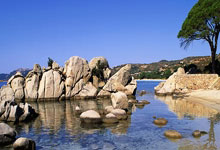 关于哥伦比亚女足-战胜科特迪瓦杀入八强的信息